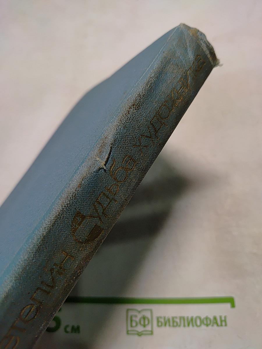 Судьба художника