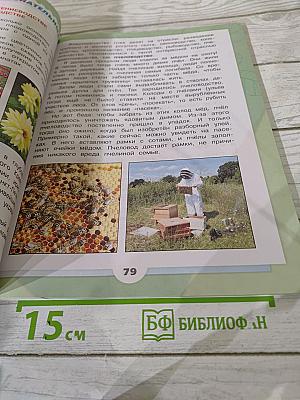 Окружающий мир 3 класс, Часть 2