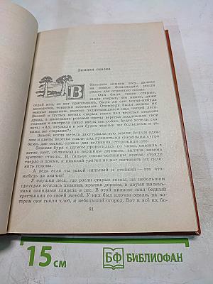 Волшебный мир. Сказки зарубежных писателей