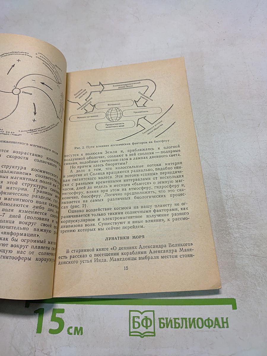 Ритм, ритм, ритм! Этюды хронобиологии