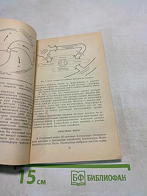 Ритм, ритм, ритм! Этюды хронобиологии