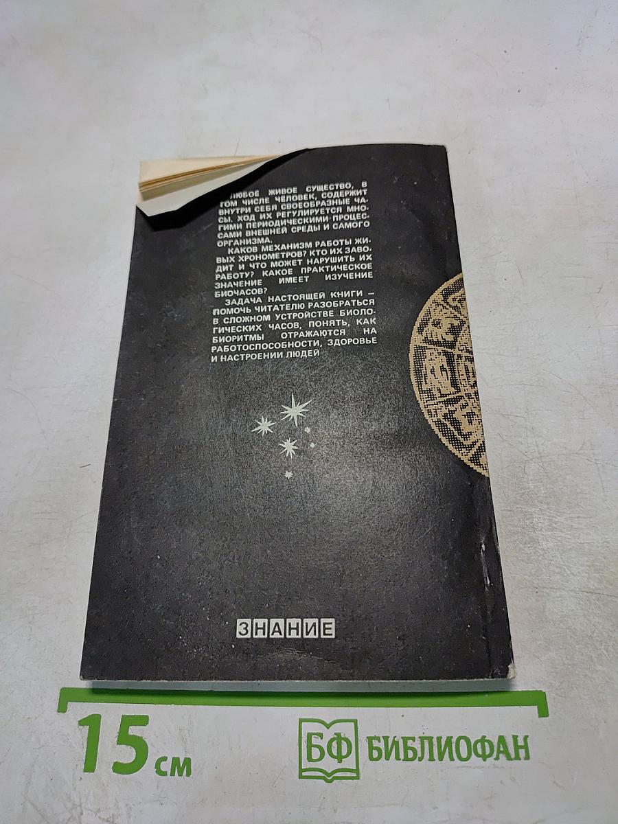 Ритм, ритм, ритм! Этюды хронобиологии