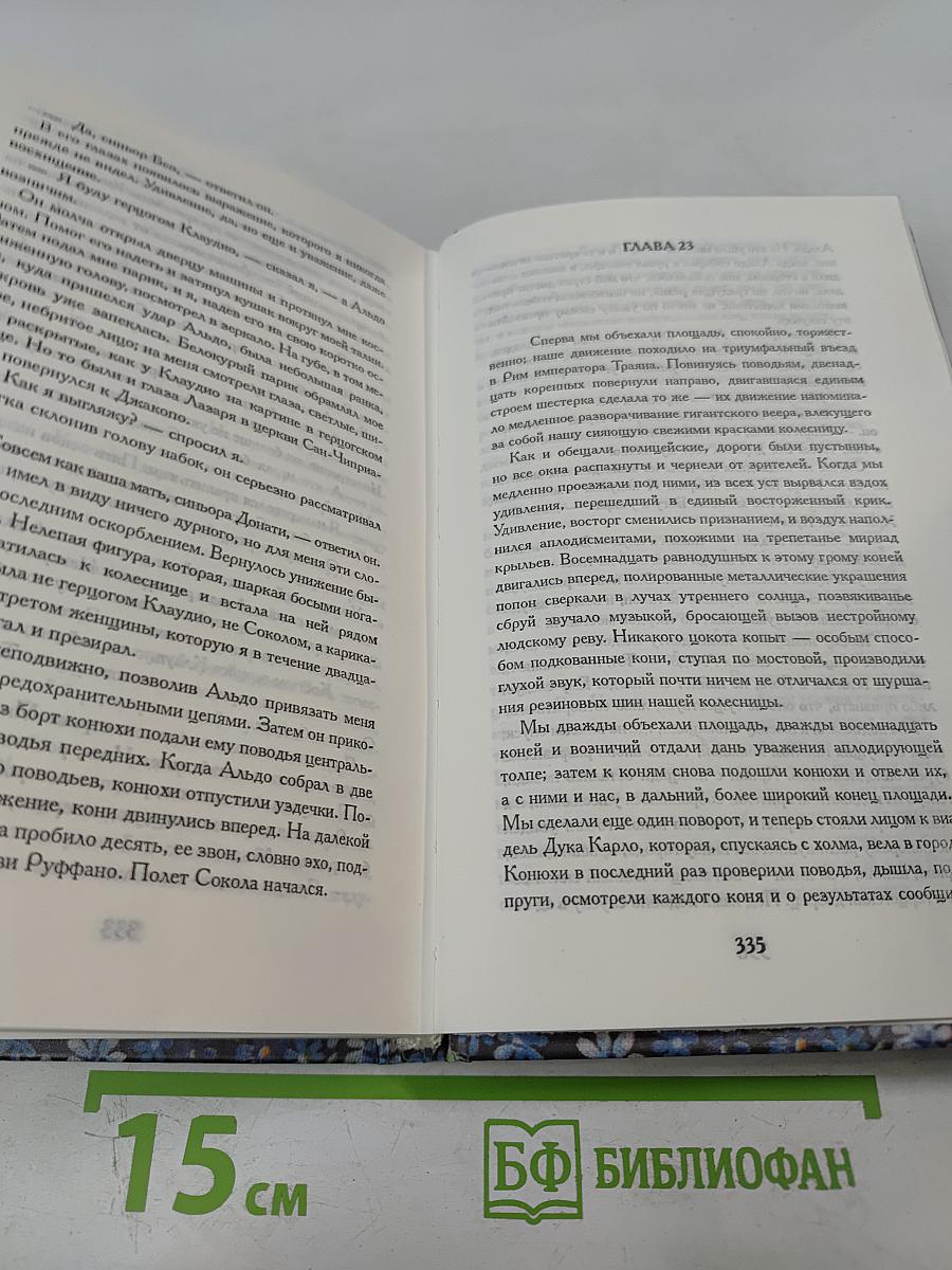 Полет сокола
