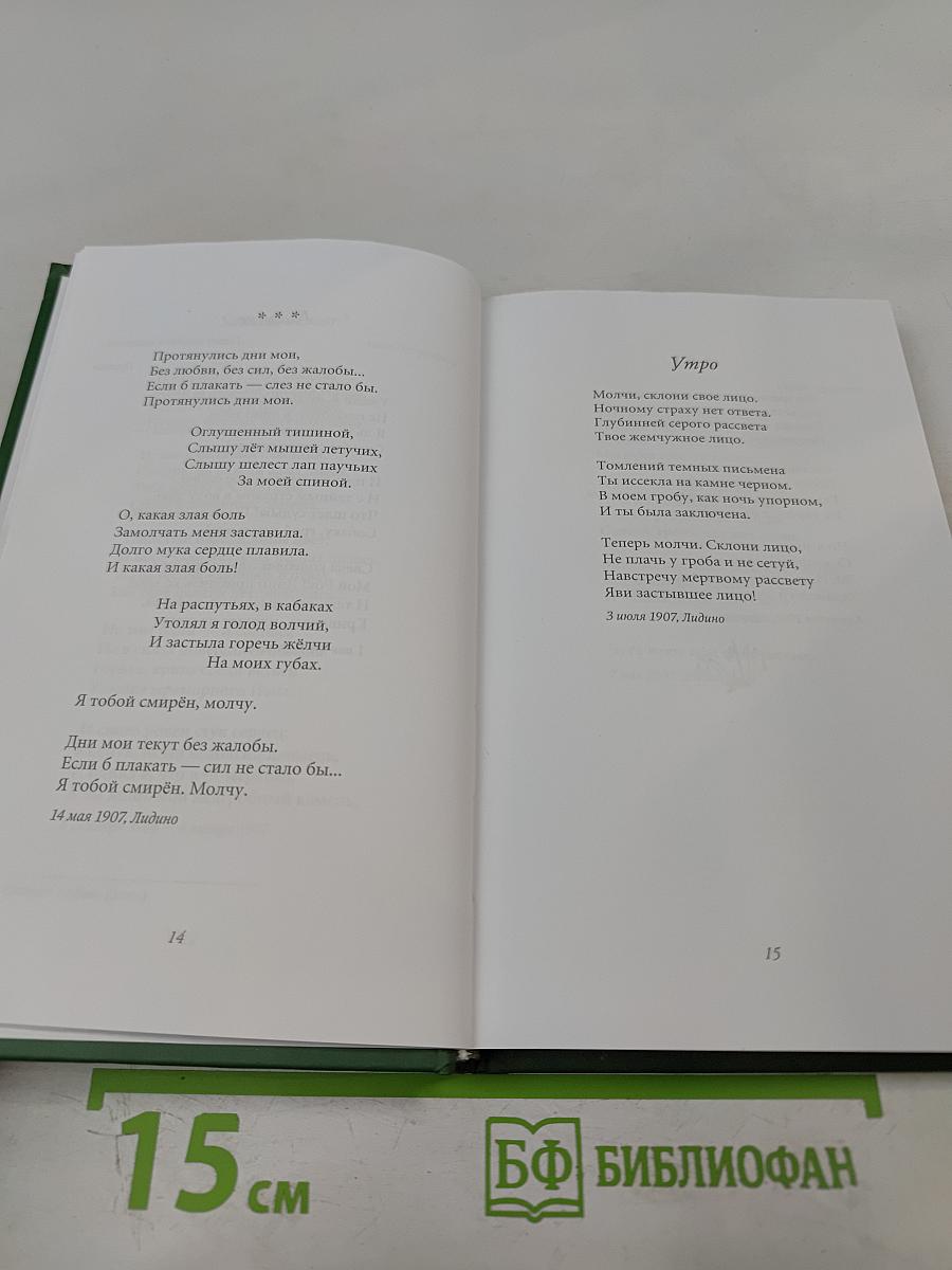 Владислав Ходасевич. Тяжелая лира