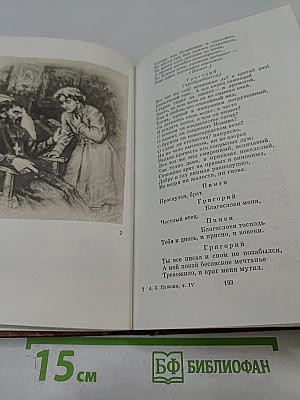 Собрание сочинений. Том четвертый. Евгений Онегин. Драматические произведения