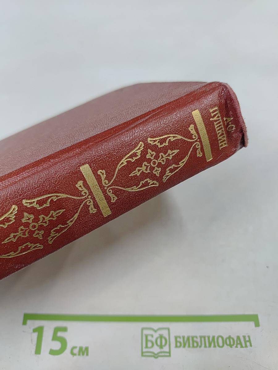 Собрание сочинений. Том четвертый. Евгений Онегин. Драматические произведения