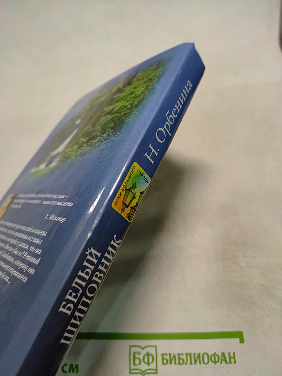 Белый шиповник