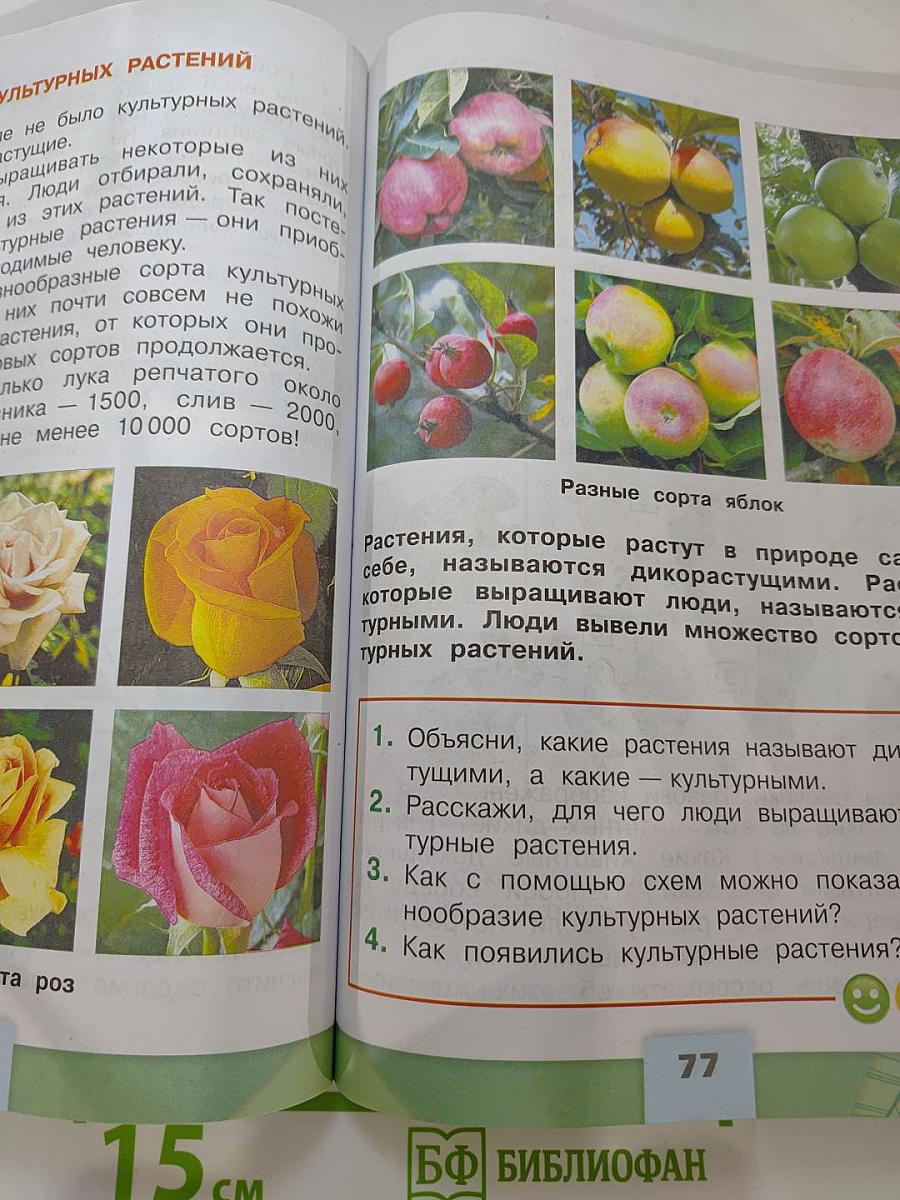 Окружающий МИР, 2 класс, Часть 1