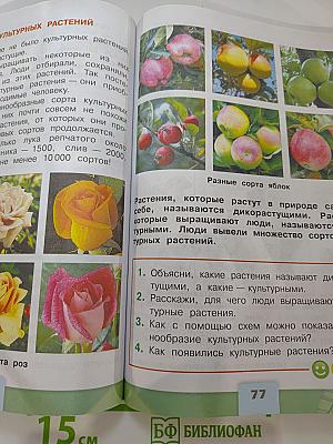 Окружающий МИР, 2 класс, Часть 1