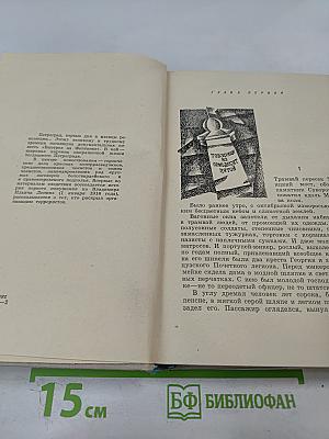 Выстрел на Фонтанке