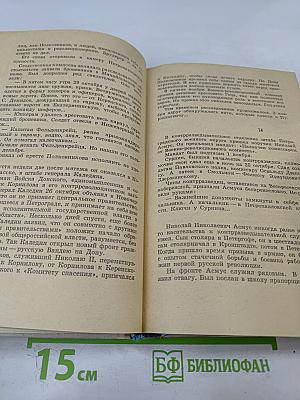 Выстрел на Фонтанке