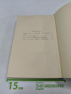 Выстрел на Фонтанке