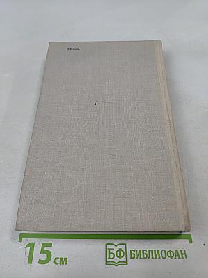 Выстрел на Фонтанке