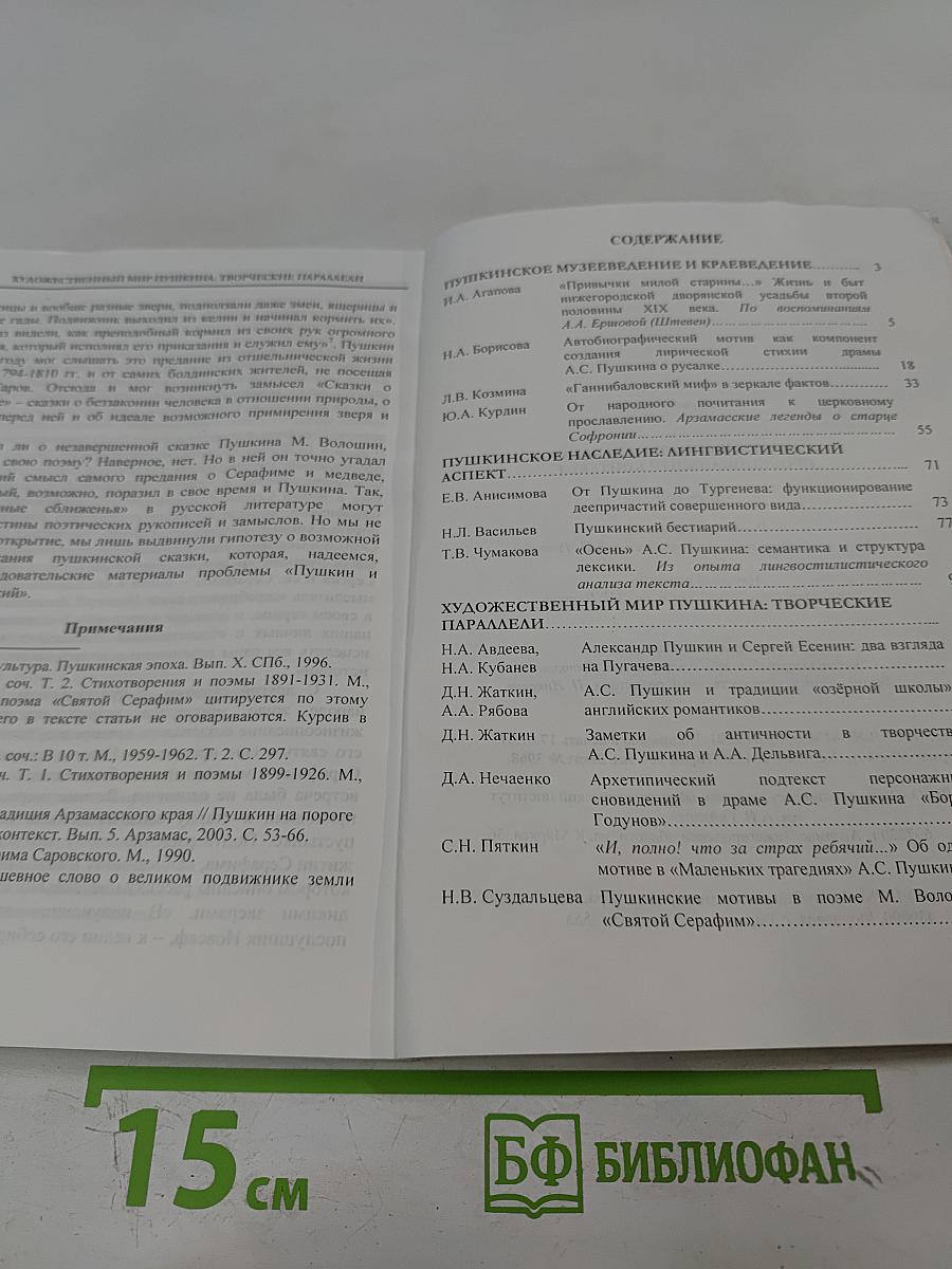 Пушкин на пороге XXI века: Провинциальный контекст. Выпуск 9