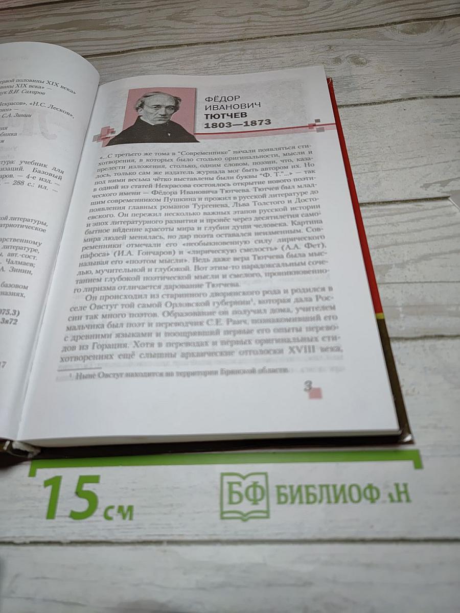 Литература. Учебник для 10 класса. Базовый уровень. В двух частях. Часть II
