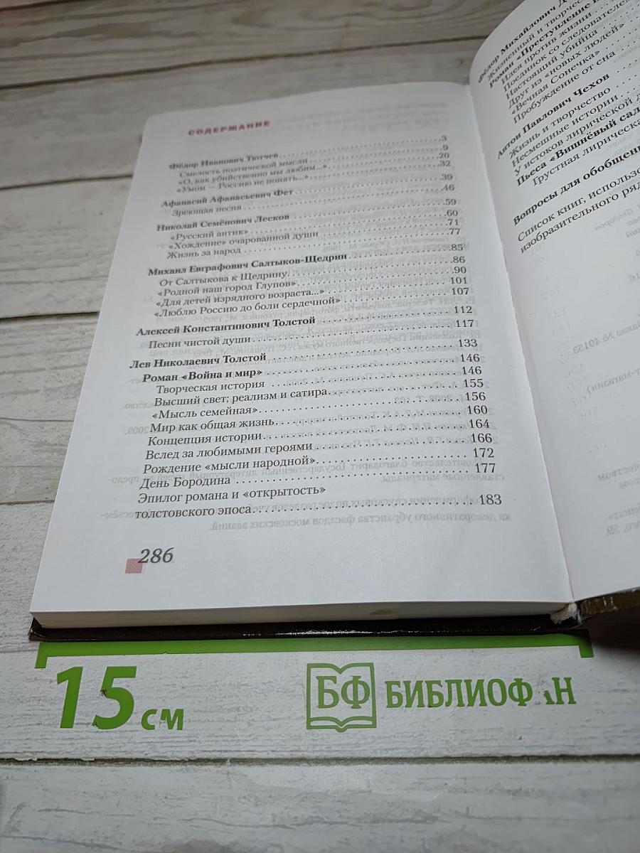 Литература. Учебник для 10 класса. Базовый уровень. В двух частях. Часть II