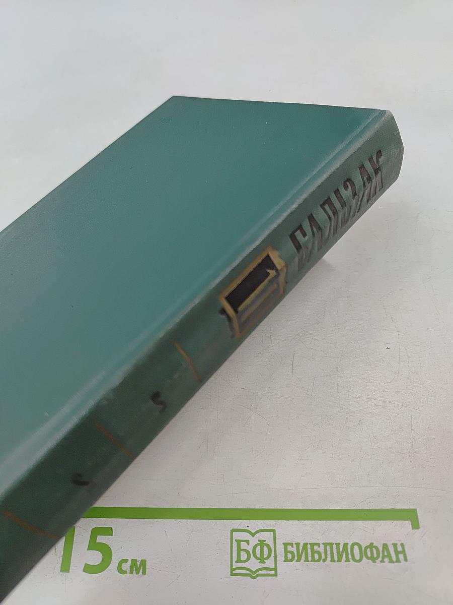 Человеческая комедия. Том II. Собрание сочинений в 24 томах