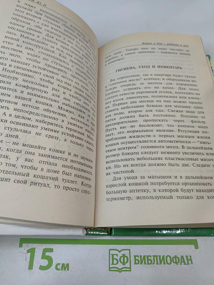 Кошка в дом - радость в нем