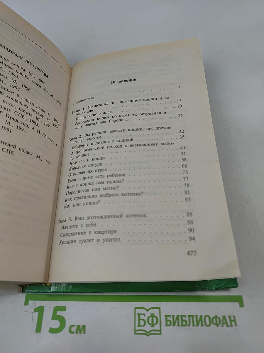 Кошка в дом - радость в нем