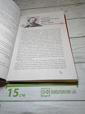 Литература, 10 класс, Часть II