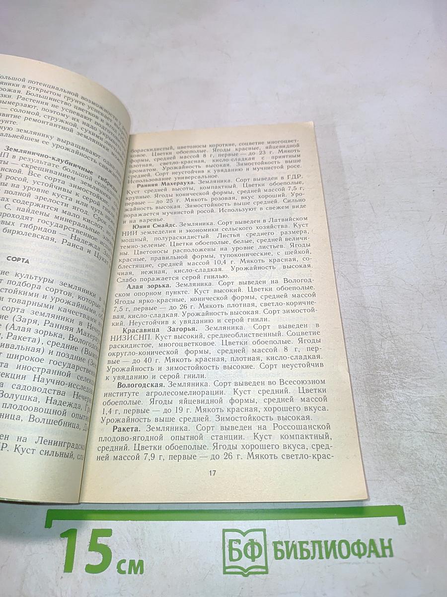 Ягодный сад