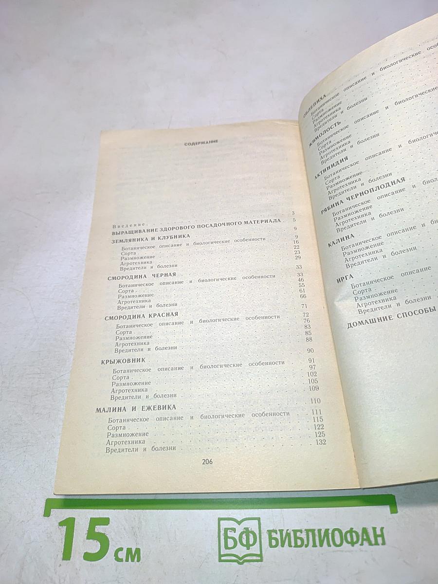 Ягодный сад