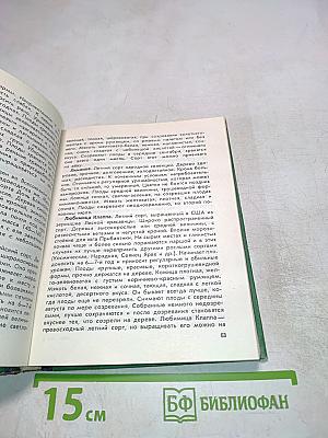 Плодовый сад