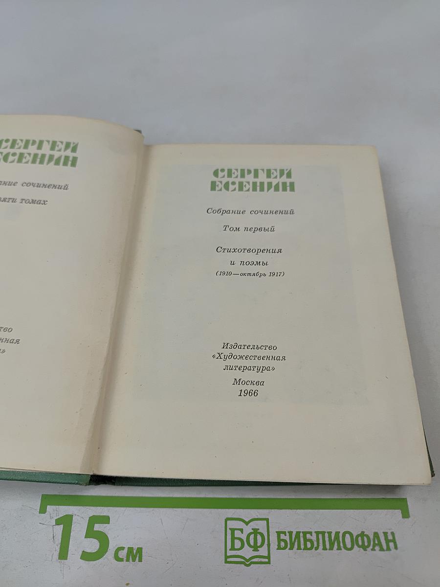 Собрание сочинений. Том первый. Стихотворения и поэмы (1910 – октябрь 1917)
