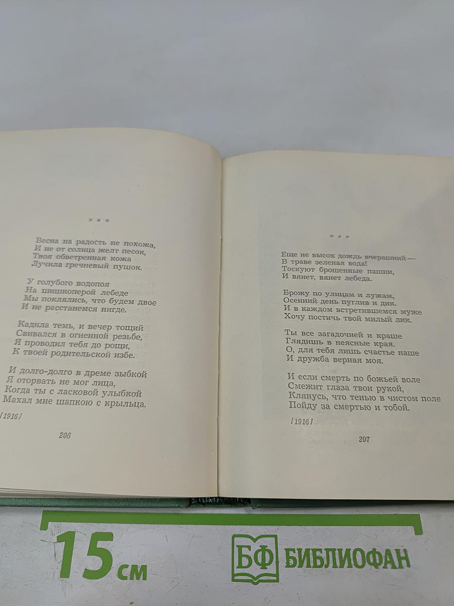 Собрание сочинений. Том первый. Стихотворения и поэмы (1910 – октябрь 1917)
