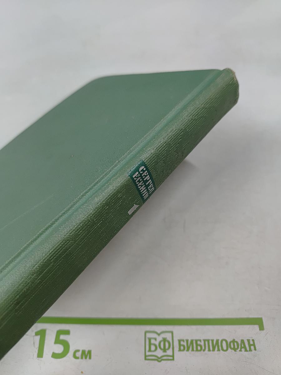 Собрание сочинений. Том первый. Стихотворения и поэмы (1910 – октябрь 1917)