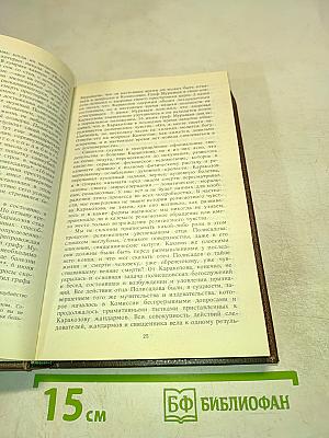 Алексеевский РАВЕЛИН: Секретная государственная тюрьма России в XIX веке. Книга II