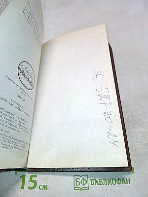 Алексеевский РАВЕЛИН: Секретная государственная тюрьма России в XIX веке. Книга II