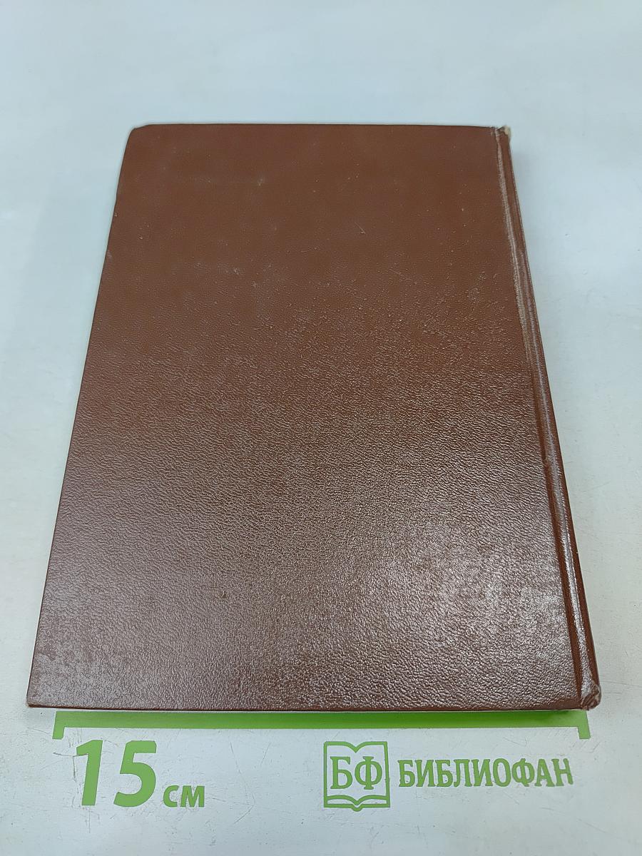 Часовые советских границ