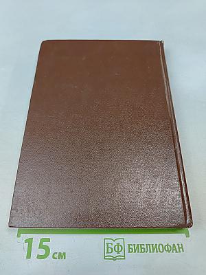 Часовые советских границ